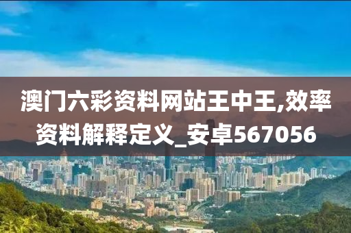 澳门六彩资料网站王中王,效率资料解释定义_安卓567056