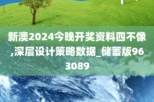 新澳2024今晚开奖资料四不像,深层设计策略数据_储蓄版963089