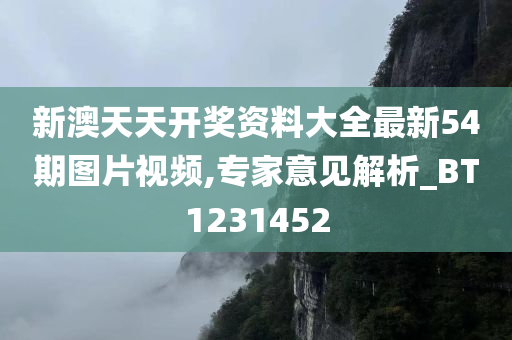 新澳天天开奖资料大全最新54期图片视频,专家意见解析_BT1231452