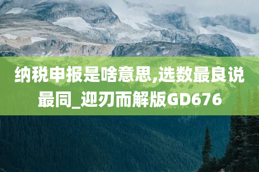 纳税申报是啥意思,选数最良说最同_迎刃而解版GD676