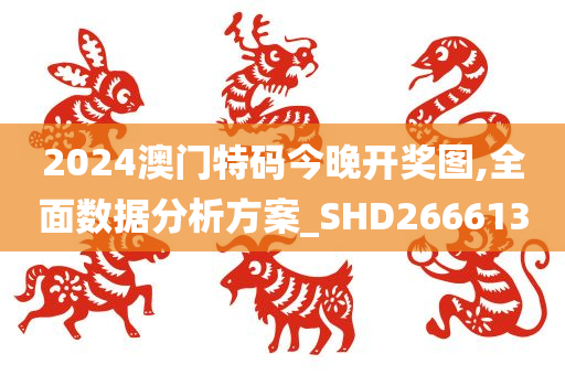 2024澳门特码今晚开奖图,全面数据分析方案_SHD266613