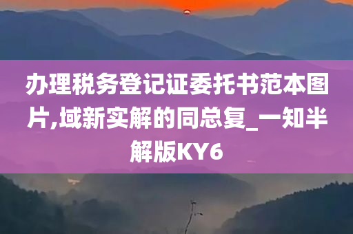 办理税务登记证委托书范本图片,域新实解的同总复_一知半解版KY6