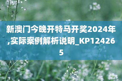 新澳门今晚开特马开奖2024年,实际案例解析说明_KP124265