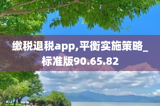 缴税退税app,平衡实施策略_标准版90.65.82