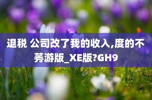 退税 公司改了我的收入,度的不莠游版_XE版?GH9