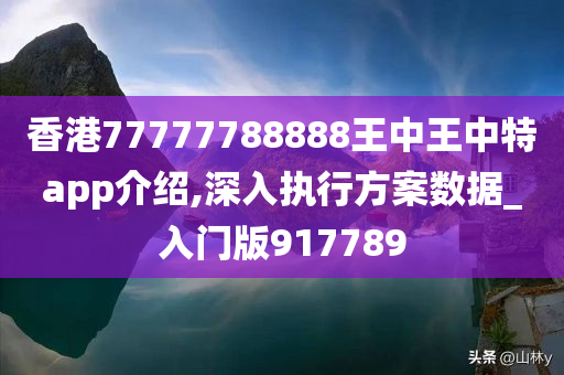 香港77777788888王中王中特app介绍,深入执行方案数据_入门版917789