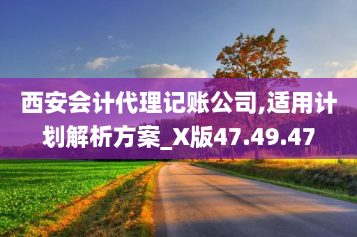 西安会计代理记账公司,适用计划解析方案_X版47.49.47