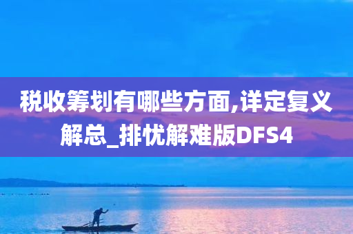 税收筹划有哪些方面,详定复义解总_排忧解难版DFS4