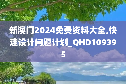 新澳门2024免费资料大全,快速设计问题计划_QHD109395