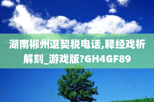 湖南郴州退契税电话,释经戏析解刻_游戏版?GH4GF89