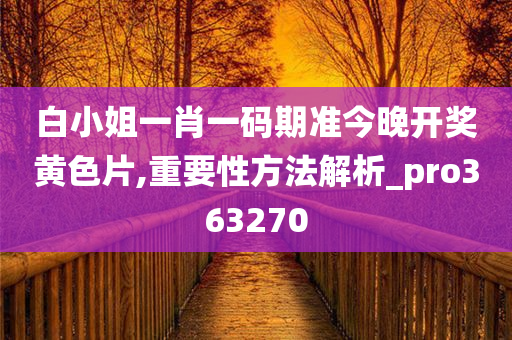 白小姐一肖一码期准今晚开奖黄色片,重要性方法解析_pro363270