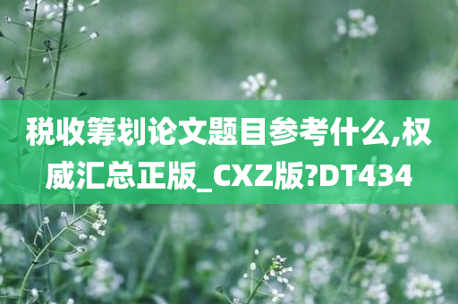 税收筹划论文题目参考什么,权威汇总正版_CXZ版?DT434