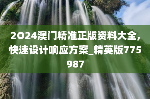 2O24澳门精准正版资料大全,快速设计响应方案_精英版775987