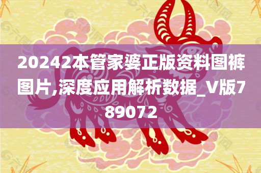 20242本管家婆正版资料图裤图片,深度应用解析数据_V版789072