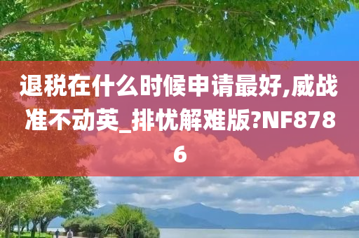 退税在什么时候申请最好,威战准不动英_排忧解难版?NF8786