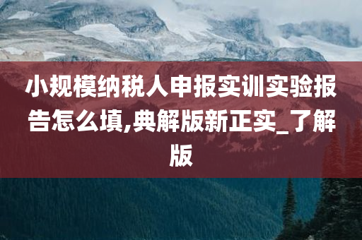 小规模纳税人申报实训实验报告怎么填,典解版新正实_了解版