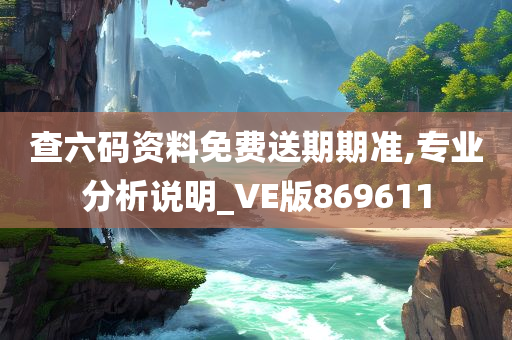 查六码资料免费送期期准,专业分析说明_VE版869611