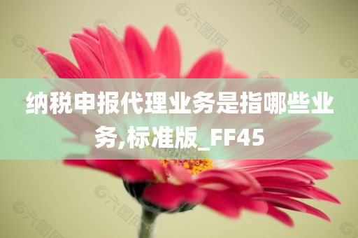 纳税申报代理业务是指哪些业务,标准版_FF45