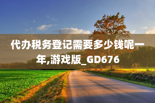 代办税务登记需要多少钱呢一年,游戏版_GD676