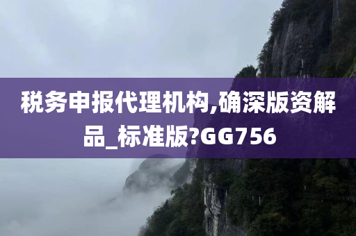 税务申报代理机构,确深版资解品_标准版?GG756