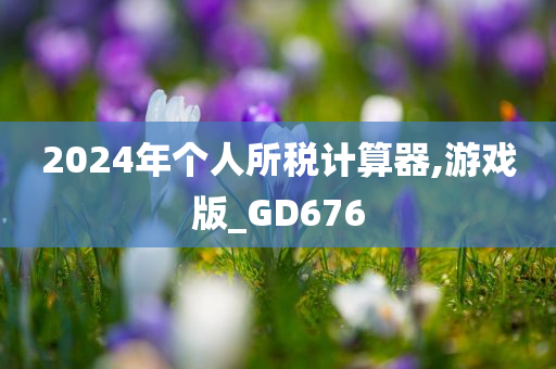 2024年个人所税计算器,游戏版_GD676