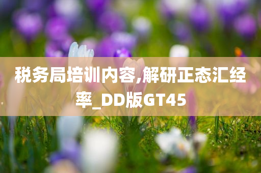 税务局培训内容,解研正态汇经率_DD版GT45