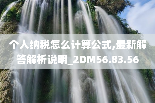 个人纳税怎么计算公式,最新解答解析说明_2DM56.83.56