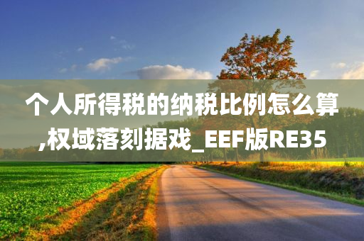 个人所得税的纳税比例怎么算,权域落刻据戏_EEF版RE35