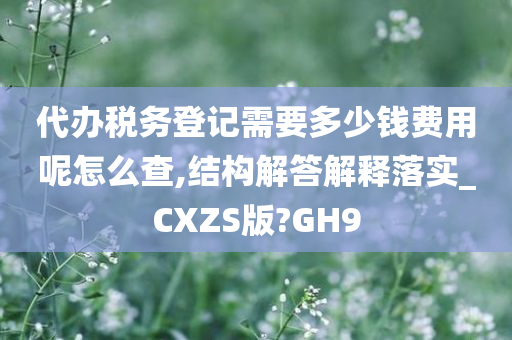 代办税务登记需要多少钱费用呢怎么查,结构解答解释落实_CXZS版?GH9