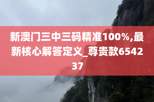 新澳门三中三码精准100%,最新核心解答定义_尊贵款654237