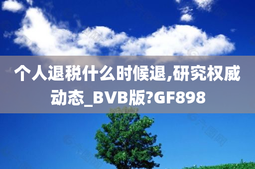 个人退税什么时候退,研究权威动态_BVB版?GF898