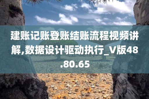 建账记账登账结账流程视频讲解,数据设计驱动执行_V版48.80.65