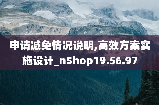 申请减免情况说明,高效方案实施设计_nShop19.56.97