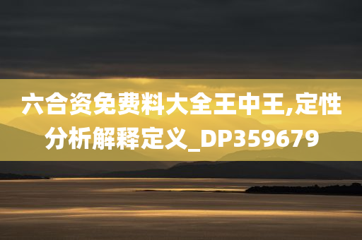 六合资免费料大全王中王,定性分析解释定义_DP359679