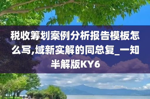 税收筹划案例分析报告模板怎么写,域新实解的同总复_一知半解版KY6