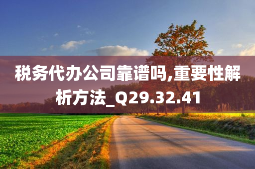 税务代办公司靠谱吗,重要性解析方法_Q29.32.41