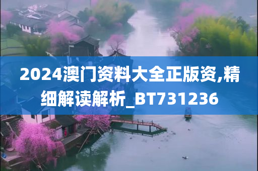 2024澳门资料大全正版资,精细解读解析_BT731236