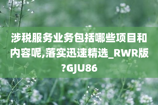 涉税服务业务包括哪些项目和内容呢,落实迅速精选_RWR版?GJU86