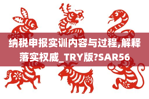 纳税申报实训内容与过程,解释落实权威_TRY版?SAR56