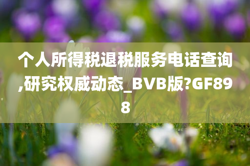 个人所得税退税服务电话查询,研究权威动态_BVB版?GF898