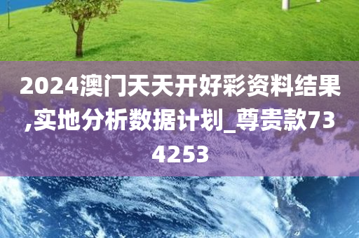 2024澳门天天开好彩资料结果,实地分析数据计划_尊贵款734253