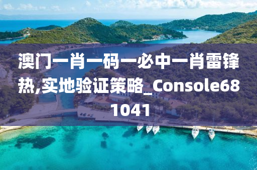 澳门一肖一码一必中一肖雷锋热,实地验证策略_Console681041