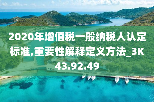 2020年增值税一般纳税人认定标准,重要性解释定义方法_3K43.92.49