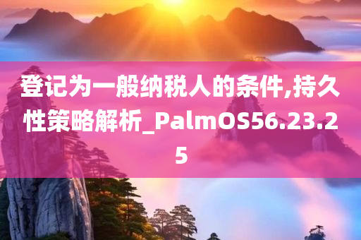 登记为一般纳税人的条件,持久性策略解析_PalmOS56.23.25