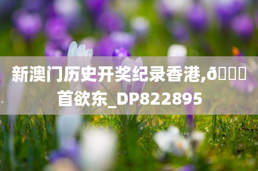 新澳门历史开奖纪录香港,🐎首欲东_DP822895