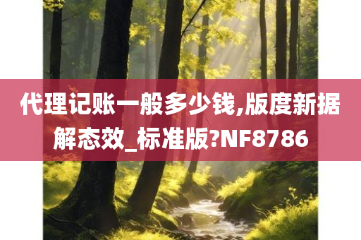 代理记账一般多少钱,版度新据解态效_标准版?NF8786