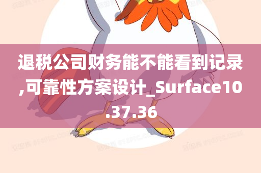 退税公司财务能不能看到记录,可靠性方案设计_Surface10.37.36