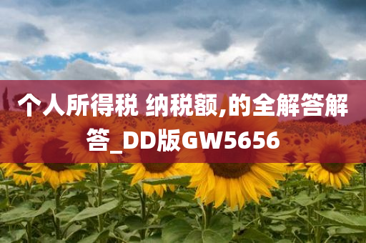 个人所得税 纳税额,的全解答解答_DD版GW5656