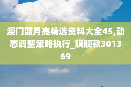 澳门蓝月亮精选资料大全45,动态调整策略执行_旗舰款301369