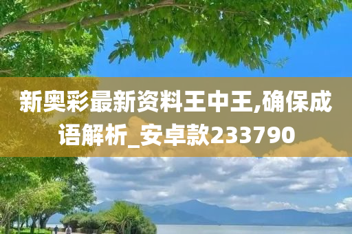 新奥彩最新资料王中王,确保成语解析_安卓款233790